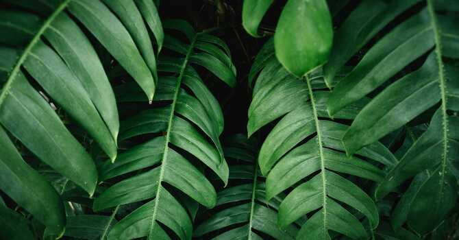 The Importance of Spinal Health for Overall Wellness image