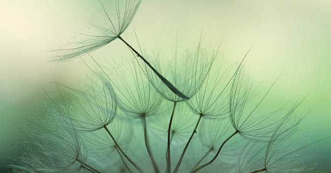 The Importance of Spinal Health for Overall Wellness