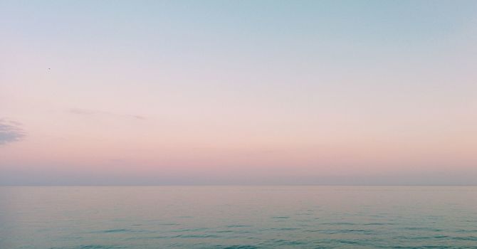 The Importance of Spinal Health for Overall Wellness